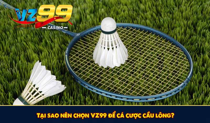 Cá Cược Cầu Lông - Chiến thuật & Những loại kèo phổ biến 7 Tại sao nên chọn VZ99 để cá cược cầu lông?